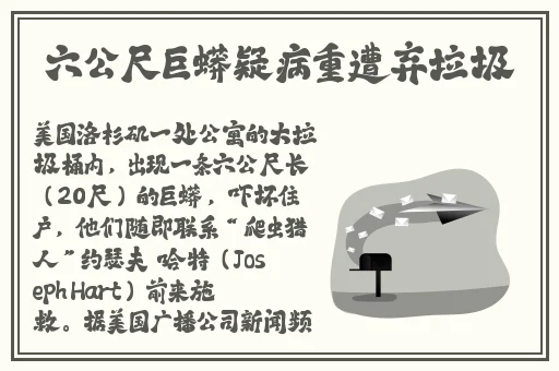 老师你的小兔子好软水好多短视频