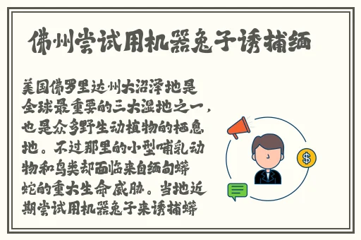 404黄台软件禁用APP入口大全